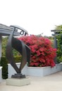 DSC 0159