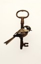 Key1b