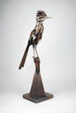 roadrunner